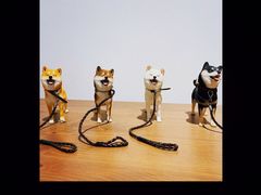 -柴务处·柴犬主题狗咖