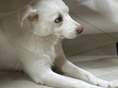 -许村蟹面(海宁许村大道店)