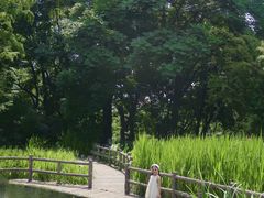 -成都市活水公园