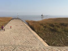 -南汇嘴观海公园