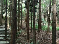 -山王坪喀斯特国家生态公园