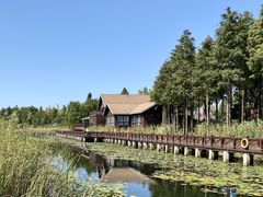 -苏州太湖湖滨国家湿地公园
