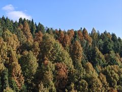 -山王坪喀斯特国家生态公园