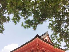 -有栖山 清光院 清水寺