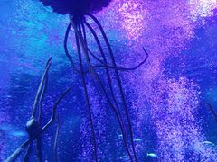 -沈阳海洋探索中心