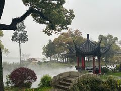 -杭州西湖柳莺里酒店
