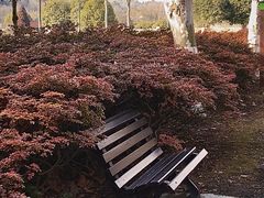 -宜兴龙背山森林公园
