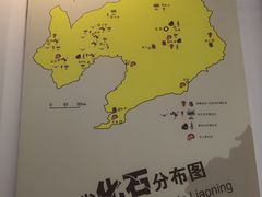 -辽宁古生物博物馆