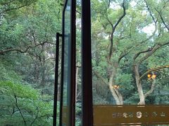 -山外山菜馆(玉泉路店)