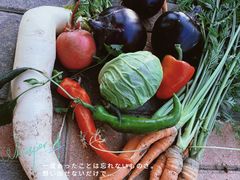 -甜心庄园·甜心草莓采摘园(西青中北店)