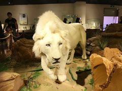 -陕西自然博物馆