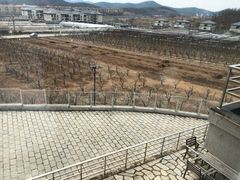 -大连北马山庄