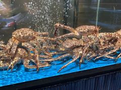 -徐记海鲜(南油永新汇店)