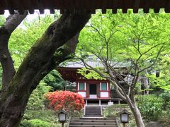 -新高轮格兰王子大酒店