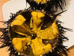 -海胆小馆(东北水饺·春柳店)