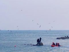 -海合安青岛极地海洋公园