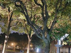 -金桥现代产业园区-停车场