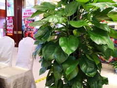 -万龙洲海鲜(大兴绿地缤纷城店)