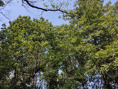-大蜀山国家森林公园