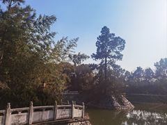 -开福禅寺