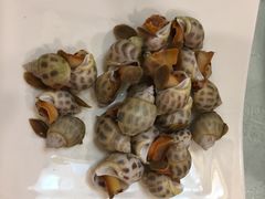 -外沙疍家棚酒楼