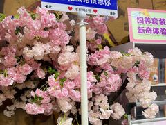 -上海大自然野生昆虫馆(东方明珠·爬宠昆虫探索中心)