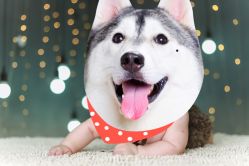 点击看大图 -可爱多国际儿童摄影会馆(龙泉店)