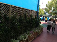 -上海市世外小学