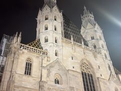 -斯蒂芬主教座堂(Stephansdom)