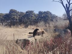 -沈阳森林动物园