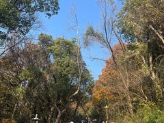 -灵岩山风景区