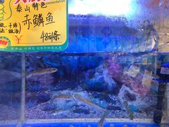 -赵记煎饼卷大葱(泰山大街店)