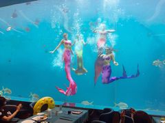 -瑞德姆美人鱼海底演艺主题餐厅(亚龙湾店)