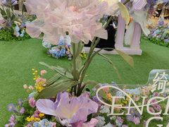 -万象影城(深圳布吉万象汇IMAX店)