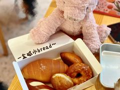 -WHEN PIGS FLY当猪飞