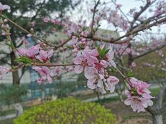 -中关村生命科学园