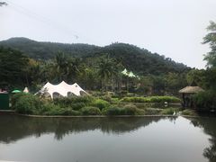-呀诺达热带雨林