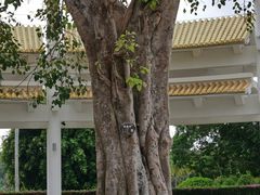 -三亚南山文化旅游区