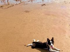 -日照世帆赛基地