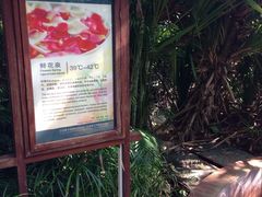 -三亚珠江南田温泉度假区