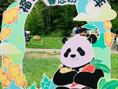 -卧龙中华大熊猫苑神树坪基地