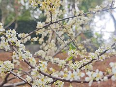 -桃花涧