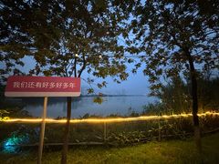 -飞来湖湿地公园