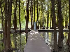 -溱湖国家湿地公园