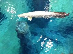 android_upload_pic-河川生态园