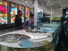 -蟹之国·精品蟹料理(极地店)