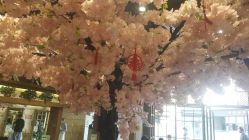 -简影造型·自选烫染接发salon