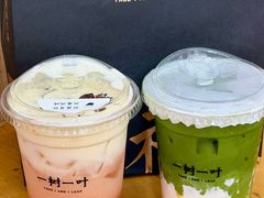 -一树一叶·福建茶档(石鼓路店)