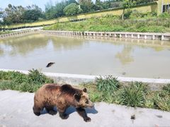 -上海野生动物园
