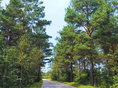 -北极村旅游风景区